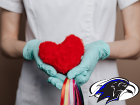  Nurse holds heart. 